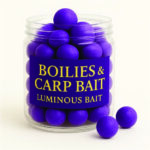 بویله هلیبوت