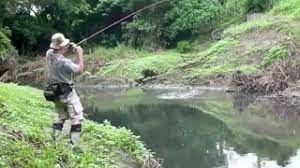 ماهیگیری تفریحی و مزایای آن برای انسانها