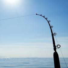 ماهیگیری تفریحی و مزایای آن برای انسانها